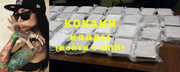 прущие грибы Аркадак