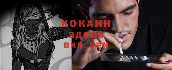 прущие грибы Аркадак