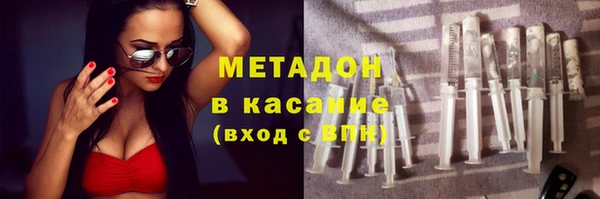 прущие грибы Аркадак