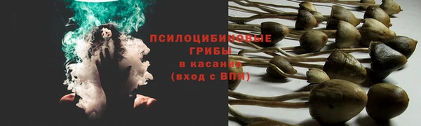меф Арсеньев
