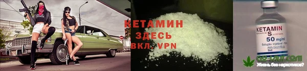 прущие грибы Аркадак