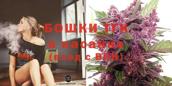 прущие грибы Аркадак