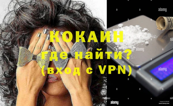 прущие грибы Аркадак