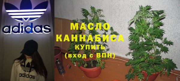 прущие грибы Аркадак