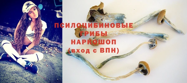 меф Арсеньев