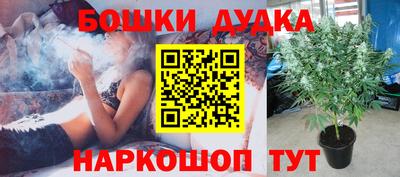 ECSTASY Заводоуковск