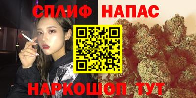 индика Беслан