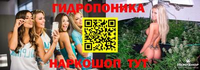 индика Беслан