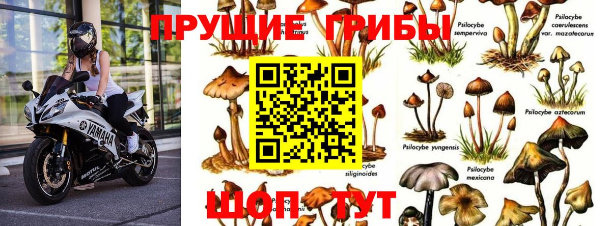 Ирбит  Галлюциногенные грибы мицелий  Вход с VPN 