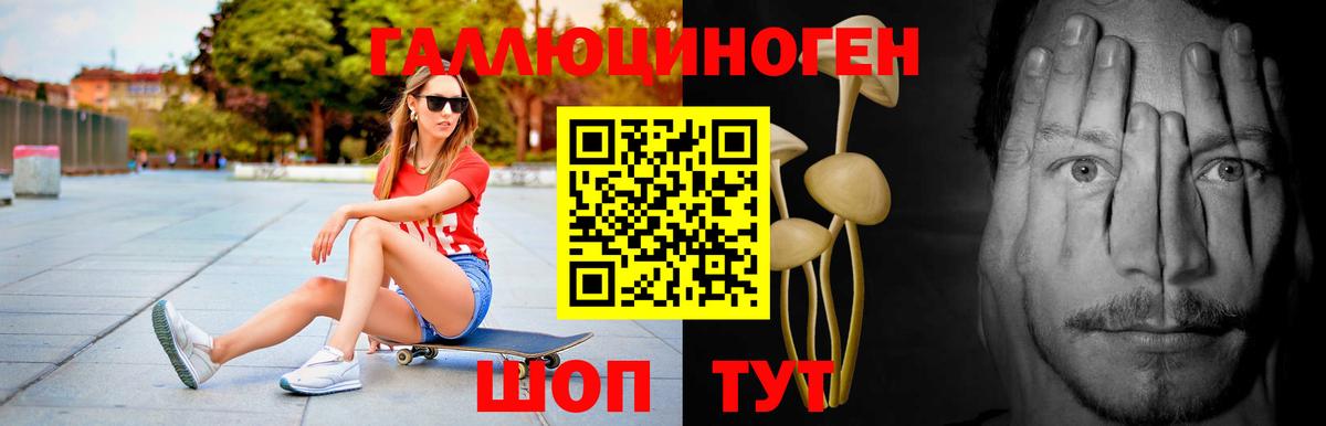 Псилоцибиновые грибы Psilocybine cubensis Ирбит